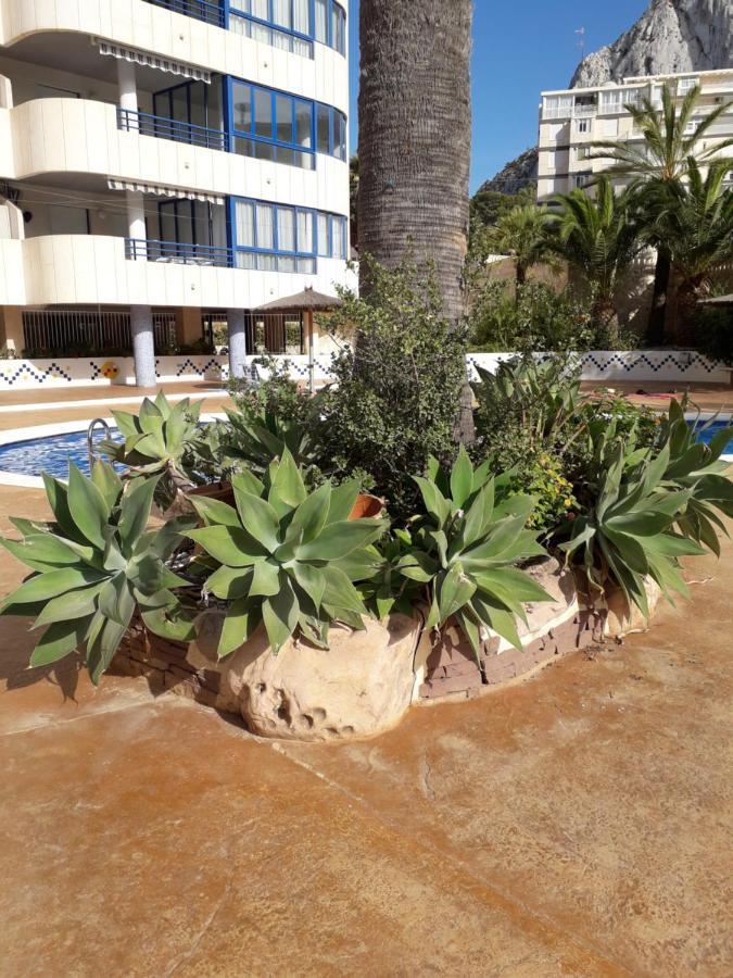 Appartement Equipe Calpe Espagne, 4 Couchages, Terrasse, Piscines, Climatisation, Garage, Wifi Gratuits Exteriör bild